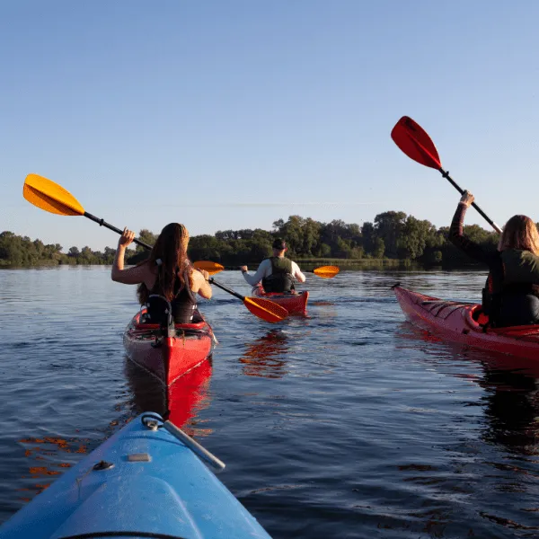 Canoeing on the Zambezi River