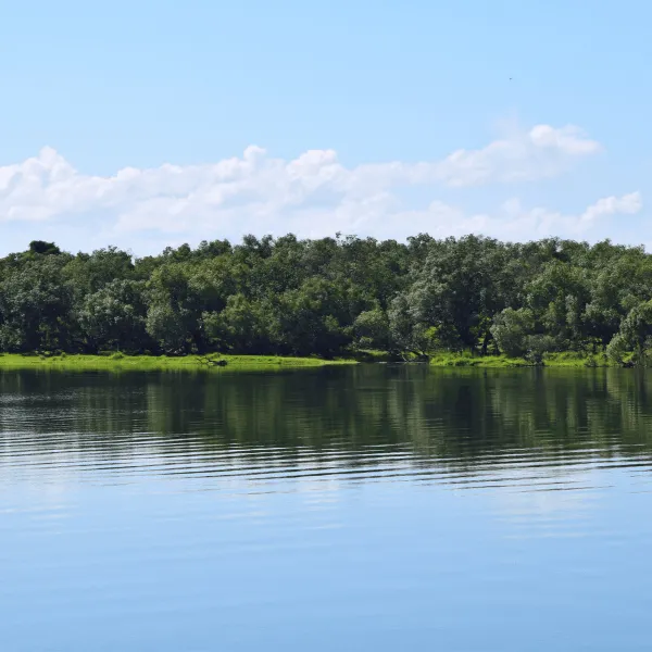 Guided nature walk