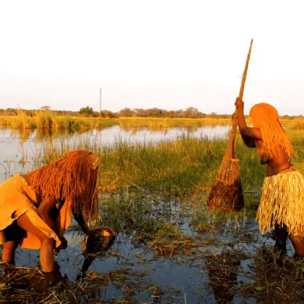 Moments at Caprivi Mutoya Lodge 16