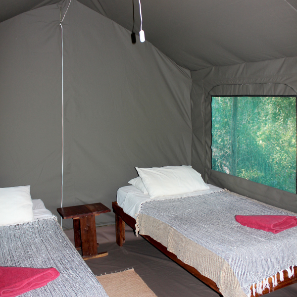 Safari Tents 2